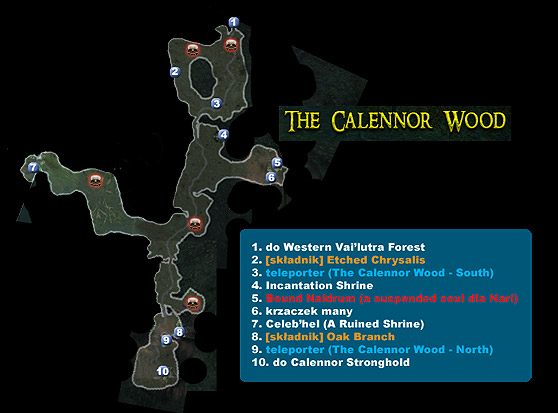 1 - Mapa 15 - The Calennor Wood | MAPY | Broken World - Dungeon Siege II: Broken World - poradnik do gry