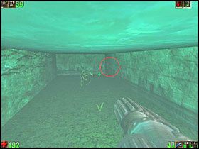 W środku znajdziesz nową broń Flak Cannon (skrót FC) - 12. Noork Elbow | Unreal - Unreal - poradnik do gry