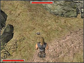 Wracasz do punktu wyjścia i udajesz się na wprost, tam gdzie oddalił się Diego - Witamy w Koloni (1) | Rozdział 1 | Gothic - Gothic - poradnik do gry