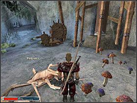 2 - Gniazdo Pełzaczy (3) | Rozdział 2 | Gothic - Gothic - poradnik do gry