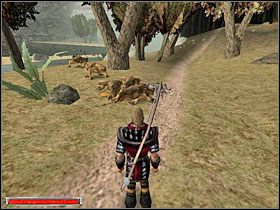 1 - Starożytna magia (4) | Rozdział 3 | Gothic - Gothic - poradnik do gry