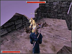 Bardzo ważna rzecz w związku, iż teleport działa tylko w jedną stronę nie masz innego wyjścia, jak skok z wierzy, naturalnie to cię będzie kosztowało sporo PŻ - Xardas (2) | Rozdział 4 | Gothic - Gothic - poradnik do gry