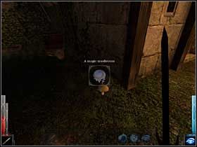 Na podwórku rosną grzybki. Nawet magiczne. - Dead Mans Trail (4) | Rozdział 3 | Dark Messiah of Might and Magic - Dark Messiah of Might and Magic - poradnik do gry