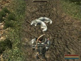 Zadanie polega na wybiciu kilku stad głodnych wilków terroryzujących okolicę - Cape Dun (3) | Questy | Solucja Gothic 3 - Gothic 3 - poradnik do gry