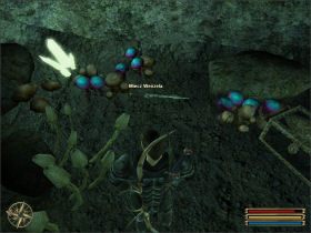 Zadanie wykonasz dopiero po dotarciu do Montery - Cape Dun (3) | Questy | Solucja Gothic 3 - Gothic 3 - poradnik do gry