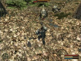 Twoim zadaniem jest upolowanie dwóch sztuk paskudnych cieniostworów, kręcących się nieopodal ruin - Okara (2) | Questy | Solucja Gothic 3 - Gothic 3 - poradnik do gry