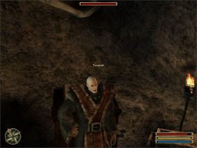 Musisz mu przynieść pięć sztuk lobelii zielnej - Nemora (1) | Questy | Solucja Gothic 3 - Gothic 3 - poradnik do gry