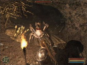 Znajdź kopalnię, zabij gnieżdżące się w niej szkodniki (sześć pełzaczy) i wróć z raportem - Geldern (2) | Questy | Solucja Gothic 3 - Gothic 3 - poradnik do gry