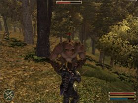 Twoim zadaniem jest doprowadzenie go bezpiecznie do Silden - Silden (3) | Questy | Solucja Gothic 3 - Gothic 3 - poradnik do gry