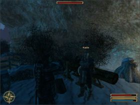 Kaelin to jeden z Nordmarczyków znudzony bezczynnością - Nordmar - Klan Ognia (3) | Questy | Solucja Gothic 3 - Gothic 3 - poradnik do gry