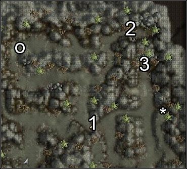UWAGA: W miejscu oznaczonym (*) spotkasz gnoma Guyvena - koniecznie porozmawiaj z nim - Studnia Starej Sowy (1) | Akt 1 | Neverwinter Nights 2 - Neverwinter Nights 2 - poradnik do gry