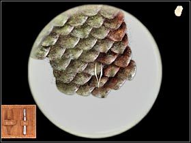 4 - Baker Street - Zebrane dowody (1) | Rozdział 1 Sherlock Holmes Przebudzenie - Sherlock Holmes: Przebudzenie - poradnik do gry