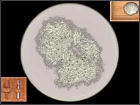 3 - Baker Street - Metalowe pudełko | Rozdział 2 Sherlock Holmes Przebudzenie - Sherlock Holmes: Przebudzenie - poradnik do gry