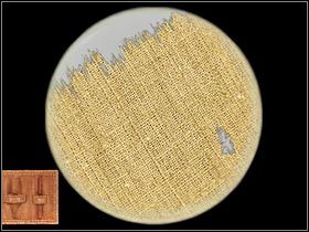 2 - Baker Street - Zebrane dowody (2) | Rozdział 1 Sherlock Holmes Przebudzenie - Sherlock Holmes: Przebudzenie - poradnik do gry