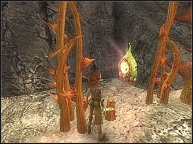 Nieco dalej, przedzierając się przez gąszcz cierni, natkniesz się na kolejny run - [ETAP VIII] Lost in the Seven Lands - I cz.1 | Artur i Minimki - Artur i Minimki - poradnik do gry