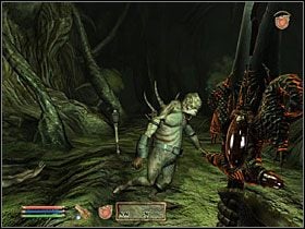 Właścicielka karczmy w Crucible jest poważnie chora i potrzebuje twojej pomocy - [Misje New Sheoth] A Liquid Solution | The Elder Scrolls IV Shivering Isles - The Elder Scrolls IV: Shivering Isles - poradnik do gry