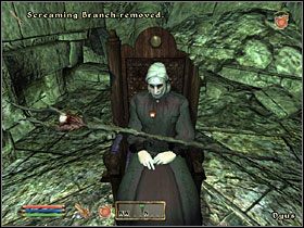 3 - [Główny wątek] Symbols of Office | The Elder Scrolls IV Shivering Isles - The Elder Scrolls IV: Shivering Isles - poradnik do gry