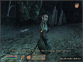 2 - [Główny wątek] Retaking the Fringe | The Elder Scrolls IV Shivering Isles - The Elder Scrolls IV: Shivering Isles - poradnik do gry