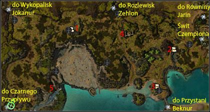 Kolekcjonerzy - Klify Dohjok, Świt Czempiona | Istan | Guild Wars Nightfall - Guild Wars: Nightfall - poradnik do gry
