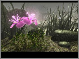 1 - Manula Valley (6) | Rozdział II | The Sacred Rings - The Sacred Rings - poradnik do gry