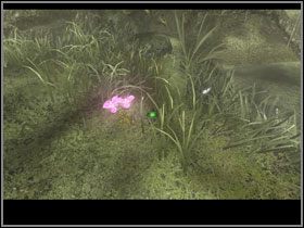 Ze zdobytych notatek wynika, że do sporządzenia prawdziwej mikstury Lukerii potrzebny jest bardzo rzadki kwiat o tej samej nazwie - Manula Valley (6) | Rozdział II | The Sacred Rings - The Sacred Rings - poradnik do gry