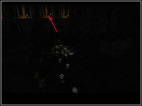 Gdy już wejdziesz do grobowca, podejdź do przełącznika (#1) i wyłącz światło - Manula Valley (8) | Rozdział II | The Sacred Rings - The Sacred Rings - poradnik do gry