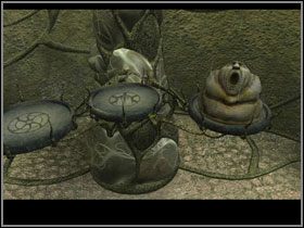 Tutaj czeka Cię kolejna łamigłówka - tzw - Manula Valley (9) | Rozdział II | The Sacred Rings - The Sacred Rings - poradnik do gry