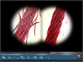 Pokaż Gregowi pobraną próbkę ze swetra Laskina - W rytmie Garveya - (3) | Śledztwo #3 | CSI Kryminalne Zagadki Las Vegas - CSI: Kryminalne Zagadki Las Vegas - poradnik do gry