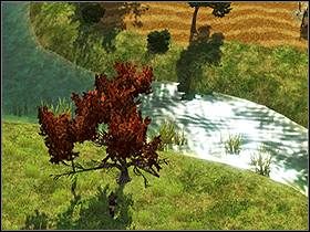 5 - SIEDMIOGRÓD cz.3 - SpellForce 2: Władca Smoków - poradnik do gry