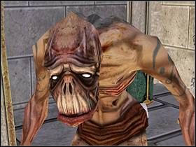 Od beznadziejnej walki odwiedzie was wojownik cienia, jedyny z wojowników Paktu, który może podróżować bez użycia portali - CYTADELA cz.1 - SpellForce 2: Władca Smoków - poradnik do gry