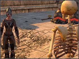 Poszukiwania nie powinny trwać długo i wykonawszy zadania dla każdego członka nieszczęsnej wyprawy, powróć od ich lokalizacji - POWRÓT DO CYTADELI cz.2 - SpellForce 2: Władca Smoków - poradnik do gry