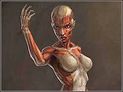 SOBOWTÓR - Poradnik do gry Tomb Raider Anniversary - Główne postacie - Tomb Raider: Anniversary - poradnik do gry