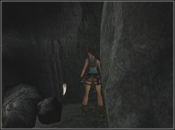 Na półce znajdziesz na niej Artefakt 2/3 - Poziom 02. Górskie Jaskinie (1) | Sekrety w Tomb Raider Anniversary - Tomb Raider: Anniversary - poradnik do gry