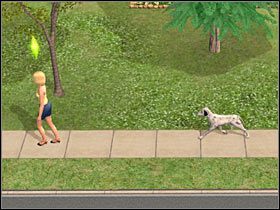 Cel: Przeczytać gazetę (bez nagrody) - Rozdział 2 - Nadzieja matką... (1) | Psie zawody - The Sims: Historie ze świata zwierząt - poradnik do gry