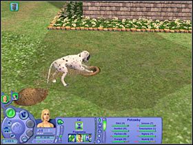 1 - Rozdział 3 - Psia randka (1) | Psie zawody - The Sims: Historie ze świata zwierząt - poradnik do gry