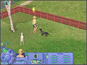 Wysłuchaj teraz komentarza ze strony Tomka (#1) - Rozdział 3 - Psia randka (2) | Psie zawody - The Sims: Historie ze świata zwierząt - poradnik do gry