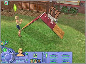 Cel: Trenować na huśtawce ćwiczebnej (250 punktów aspiracji) - Rozdział 5 - Trening | Psie zawody | The Sims Historie ze świata zwierząt - The Sims: Historie ze świata zwierząt - poradnik do gry