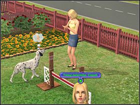 6 - Rozdział 5 - Trening | Psie zawody | The Sims Historie ze świata zwierząt - The Sims: Historie ze świata zwierząt - poradnik do gry
