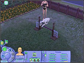 8 - Rozdział 5 - Trening | Psie zawody | The Sims Historie ze świata zwierząt - The Sims: Historie ze świata zwierząt - poradnik do gry