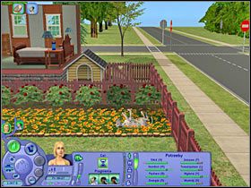 1 - Rozdział 6 - Miejscowe zawody psów (1) | Psie zawody - The Sims: Historie ze świata zwierząt - poradnik do gry