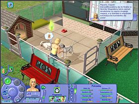 6 - Rozdział 6 - Miejscowe zawody psów (2) | Psie zawody - The Sims: Historie ze świata zwierząt - poradnik do gry