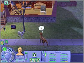 Cel: Poznać Tajemnice Psiej Łapy (250 punktów aspiracji) - Rozdział 7 - Tajemnice Psiej Łapy | Psie zawody - The Sims: Historie ze świata zwierząt - poradnik do gry