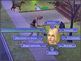 4 - Rozdział 7 - Tajemnice Psiej Łapy | Psie zawody - The Sims: Historie ze świata zwierząt - poradnik do gry