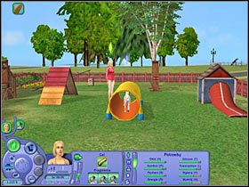 3 - Rozdział 10 - Ostatnia okazja do treningu (1) | Psie zawody - The Sims: Historie ze świata zwierząt - poradnik do gry