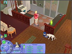 5 - Rozdział 10 - Ostatnia okazja do treningu (1) | Psie zawody - The Sims: Historie ze świata zwierząt - poradnik do gry