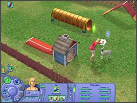 Schemat będzie bardzo zbliżony - Rozdział 10 - Ostatnia okazja do treningu (2) | Psie zawody - The Sims: Historie ze świata zwierząt - poradnik do gry