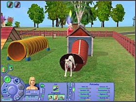 Cel: Trenować na skoczni z opon (250 punktów aspiracji) - Rozdział 10 - Ostatnia okazja do treningu (2) | Psie zawody - The Sims: Historie ze świata zwierząt - poradnik do gry