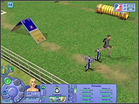 Po zakończeniu pokazu pierwszego zawodnika na planszy pojawi się Amanda (#1) - Rozdział 11 - Finał zawodów (1) | Psie zawody - The Sims: Historie ze świata zwierząt - poradnik do gry