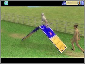 5 - Rozdział 11 - Finał zawodów (2) | Psie zawody - The Sims: Historie ze świata zwierząt - poradnik do gry