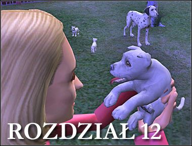 Ostatni rozdział tego scenariusza będzie bardzo relaksujący - Rozdział 12 - Szczenięca miłość (1) | Psie zawody - The Sims: Historie ze świata zwierząt - poradnik do gry